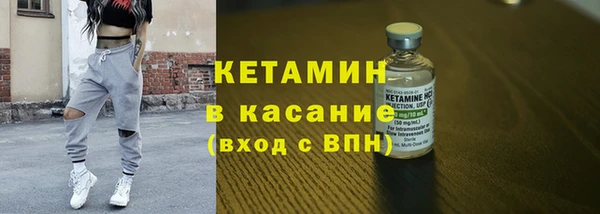крисы Инта