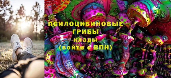 крисы Инта