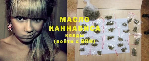крисы Инта