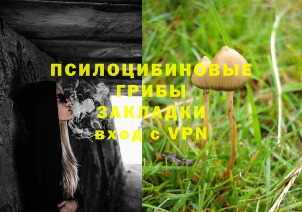 крисы Инта